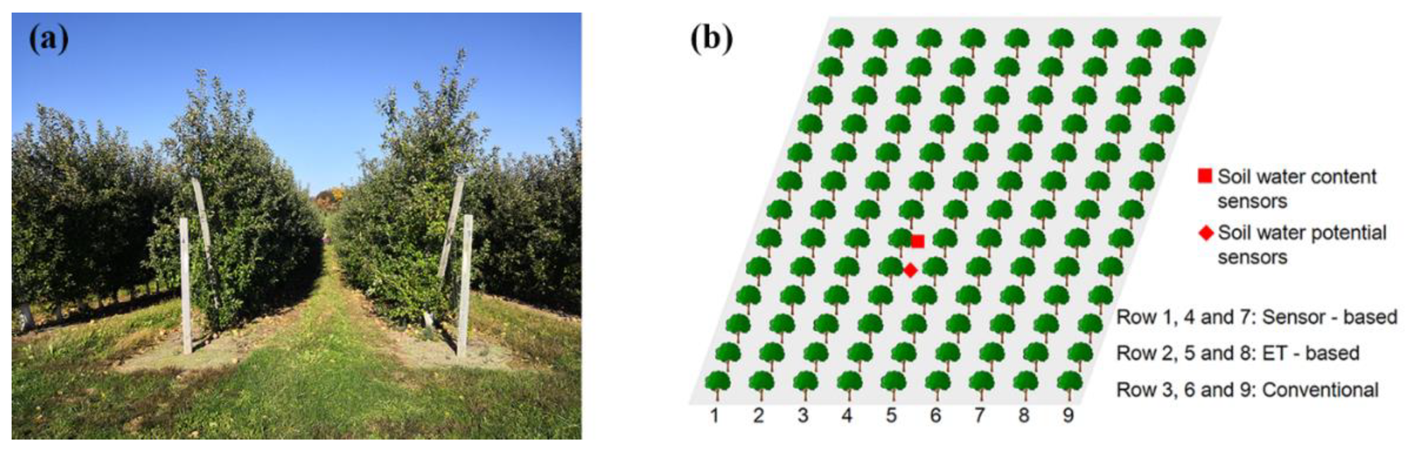 Beyond the Hose: Engineering Resilient Irrigation on Our Hillside Orchard