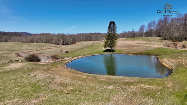 Planning My Pollinator Plots: A Farmwide Approach to Habitat and Biodiversity