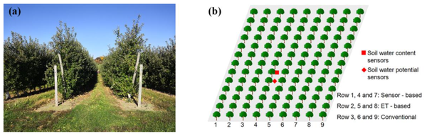 Beyond the Hose: Engineering Resilient Irrigation on Our Hillside Orchard