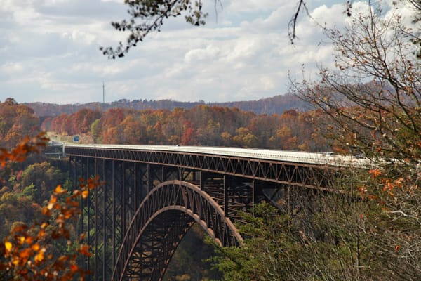 A Survival Guide to Starting a Farm in the New River Gorge